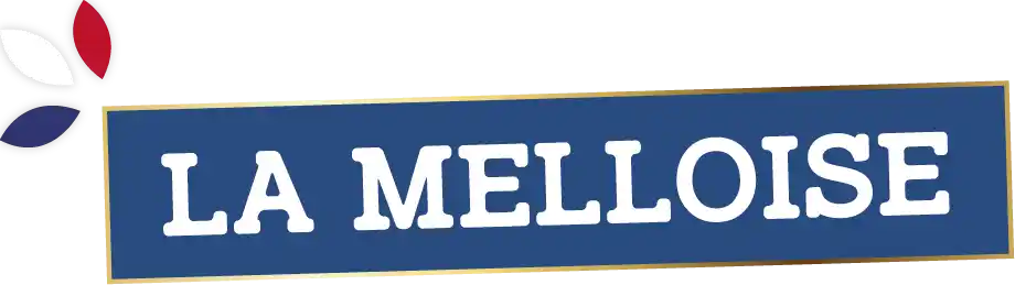 illustration avec l'ÃƒÂ©criture : melloise